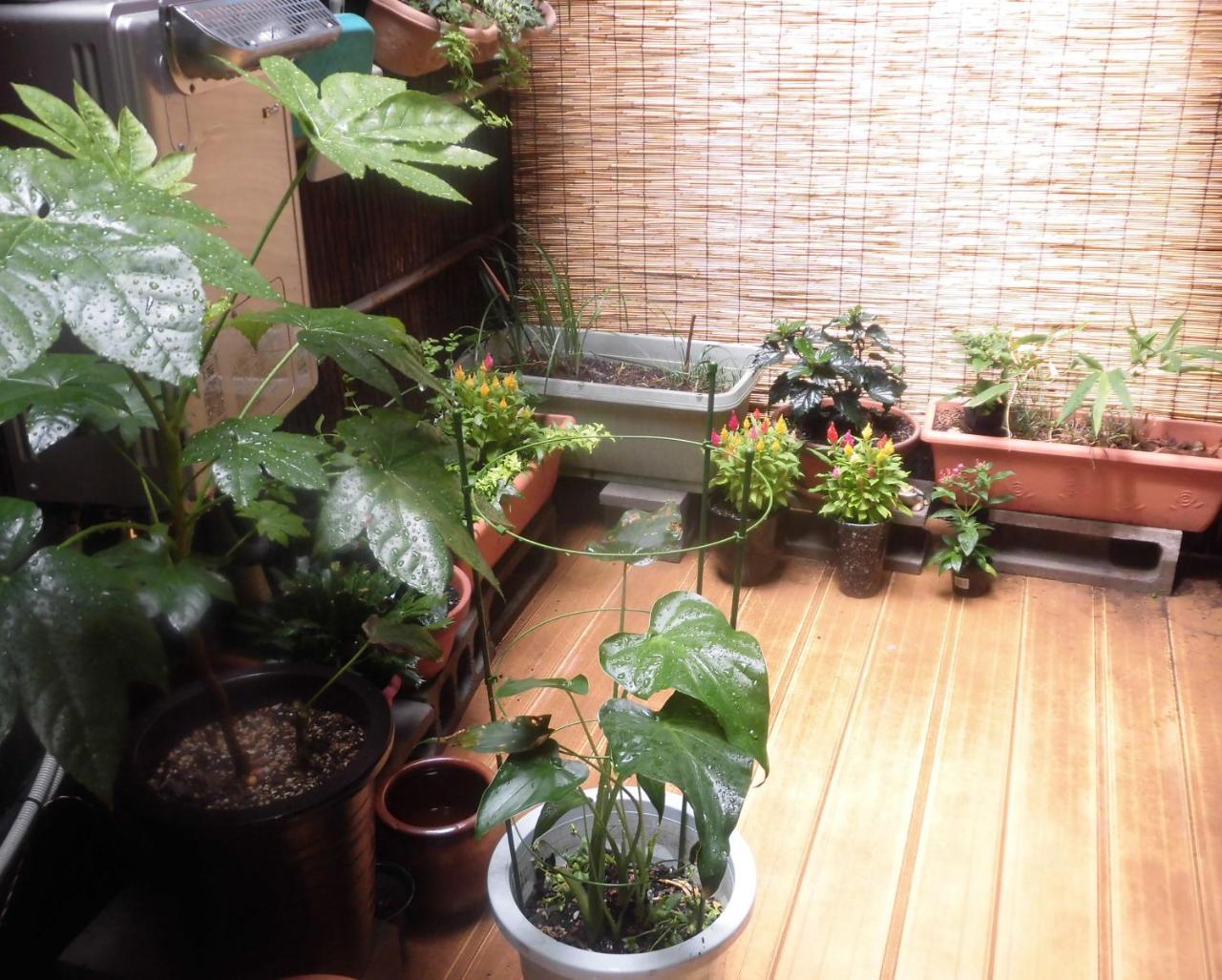 Share House Amigos 호텔 오노미치 외부 사진